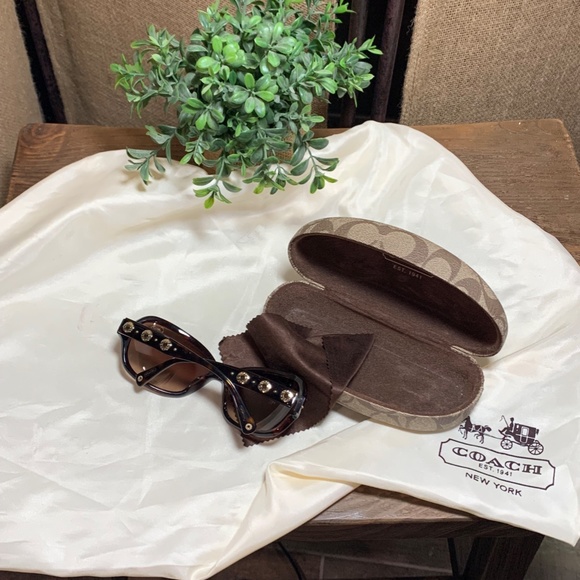 Coach Sunglasses Thompson (S806) Tortoise - Picture 3 of 7